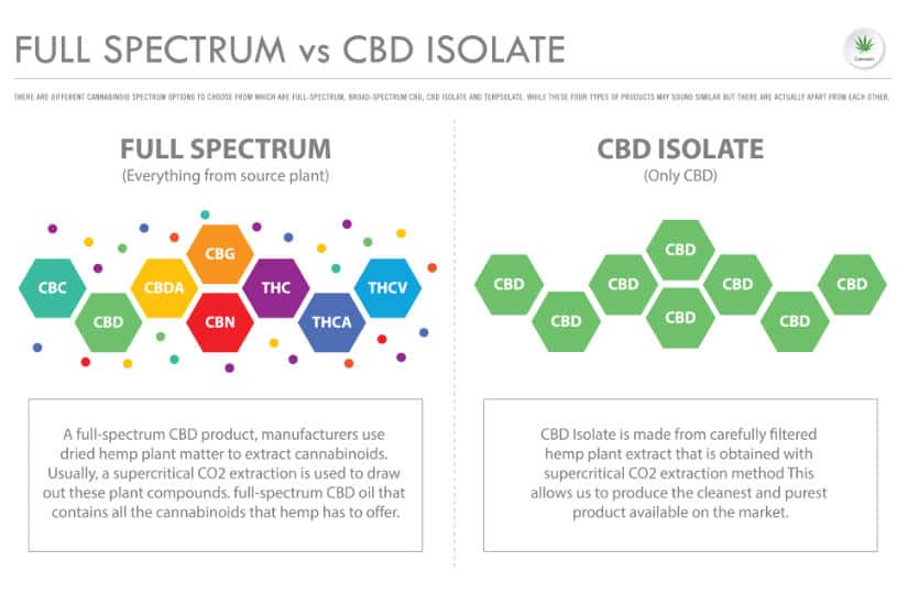 Full Spectrum CBD vs CBD Isolate Chart